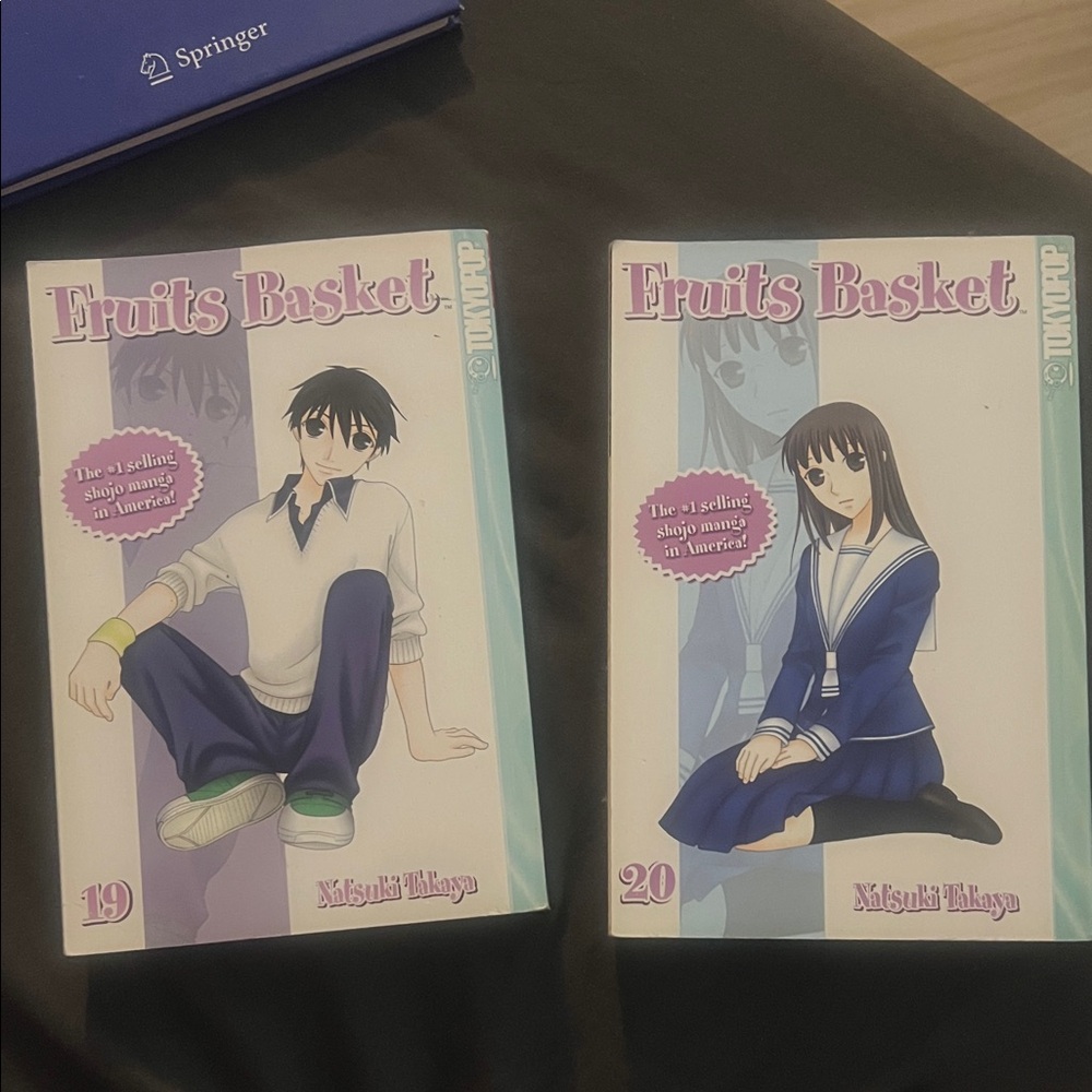 Manga Volumes 19 & 20 by Natsuki Takaya